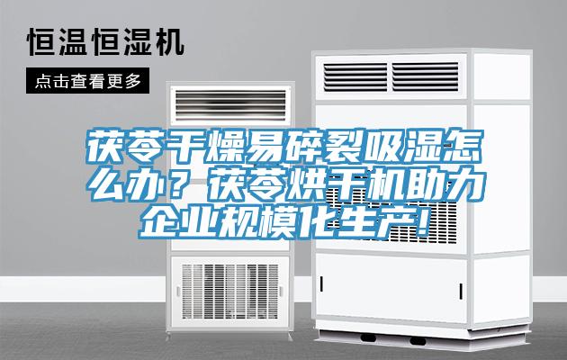 茯苓干燥易碎裂吸濕怎么辦？茯苓烘干機(jī)助力企業(yè)規(guī)?；a(chǎn)!