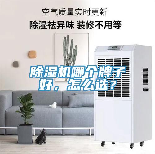 除濕機(jī)哪個牌子好，怎么選？