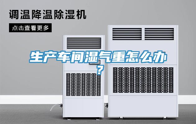 生產(chǎn)車間濕氣重怎么辦？