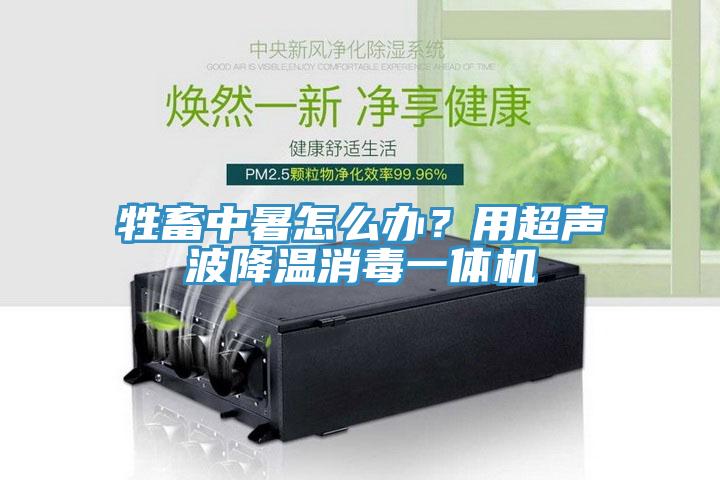 牲畜中暑怎么辦？用超聲波降溫消毒一體機(jī)