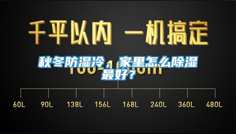 秋冬防濕冷，家里怎么除濕最好？