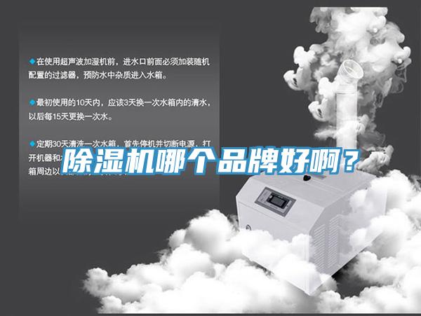 除濕機(jī)哪個品牌好??？
