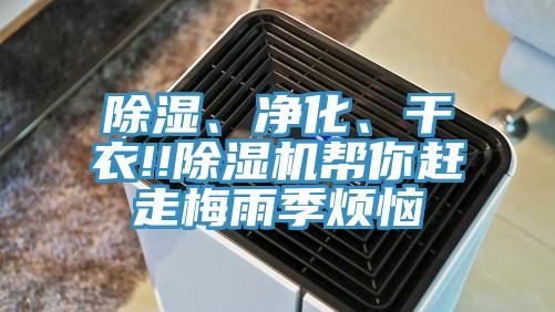 除濕、凈化、干衣!!除濕機幫你趕走梅雨季煩惱