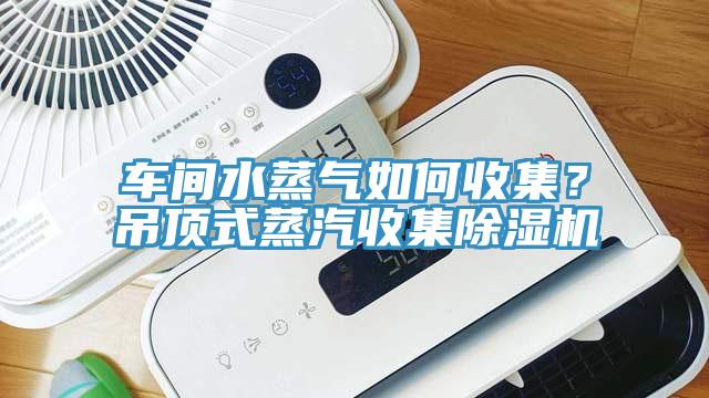 車間水蒸氣如何收集？吊頂式蒸汽收集除濕機(jī)