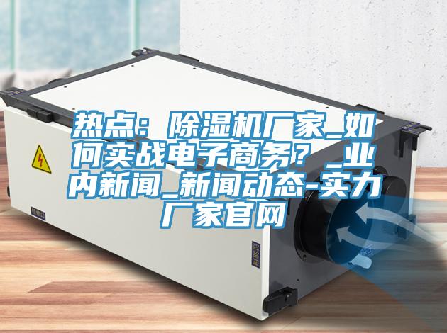 熱點(diǎn)：除濕機(jī)廠家_如何實(shí)戰(zhàn)電子商務(wù)？_業(yè)內(nèi)新聞_新聞動(dòng)態(tài)-實(shí)力廠家官網(wǎng)