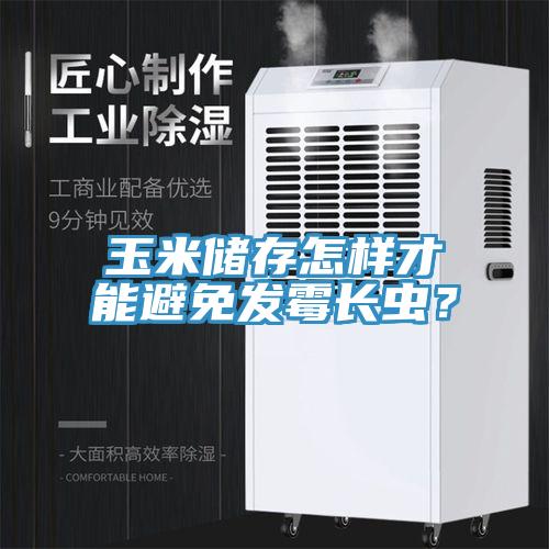 玉米儲存怎樣才能避免發(fā)霉長蟲？