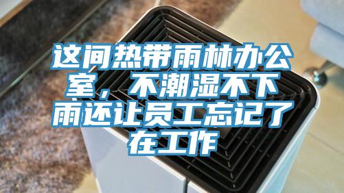 這間熱帶雨林辦公室，不潮濕不下雨還讓員工忘記了在工作