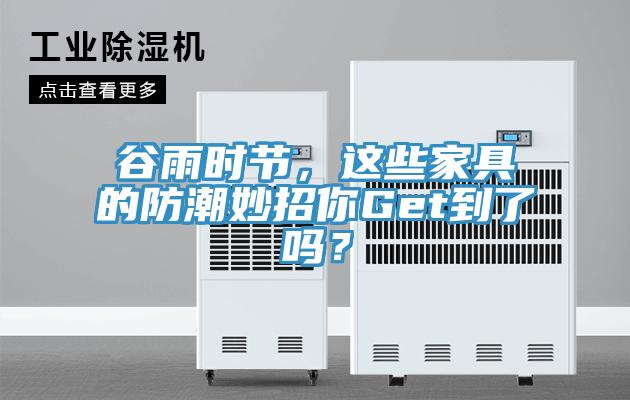 谷雨時(shí)節(jié)，這些家具的防潮妙招你Get到了嗎？
