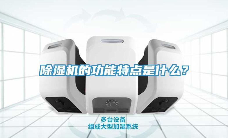 除濕機(jī)的功能特點(diǎn)是什么？