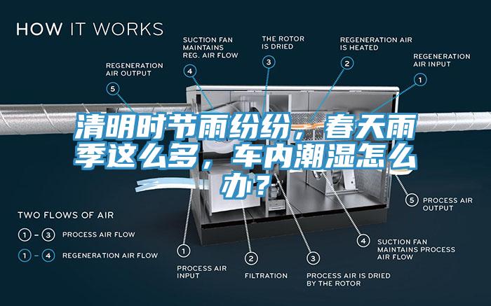 清明時節(jié)雨紛紛，春天雨季這么多，車內(nèi)潮濕怎么辦？