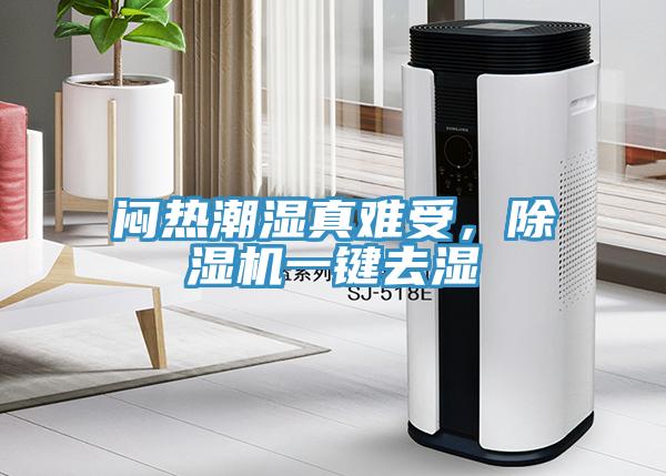 悶熱潮濕真難受，除濕機(jī)一鍵去濕