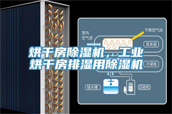 烘干房除濕機(jī)，工業(yè)烘干房排濕用除濕機(jī)