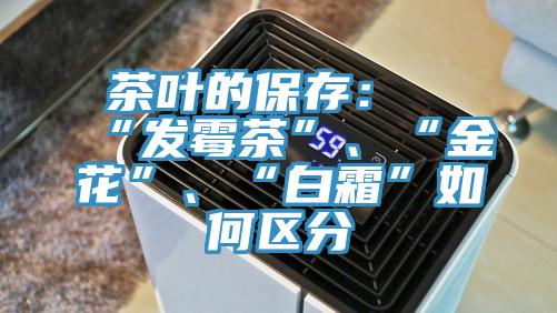 茶葉的保存：“發(fā)霉茶”、“金花”、“白霜”如何區(qū)分