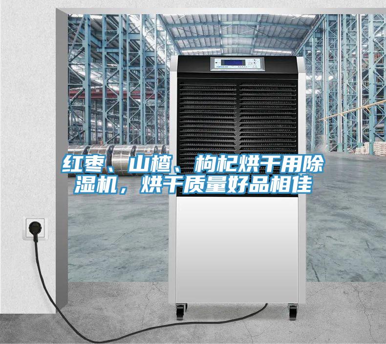 紅棗、山楂、枸杞烘干用除濕機(jī)，烘干質(zhì)量好品相佳