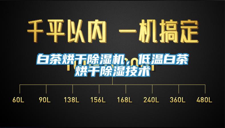白茶烘干除濕機(jī)，低溫白茶烘干除濕技術(shù)