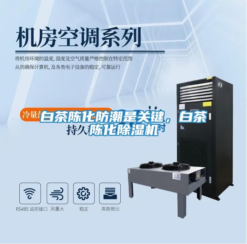 白茶陳化防潮是關(guān)鍵，白茶陳化除濕機(jī)