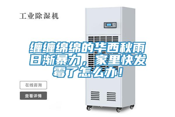纏纏綿綿的華西秋雨日漸暴力，家里快發(fā)霉了怎么辦！