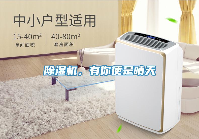 除濕機(jī)，有你便是晴天