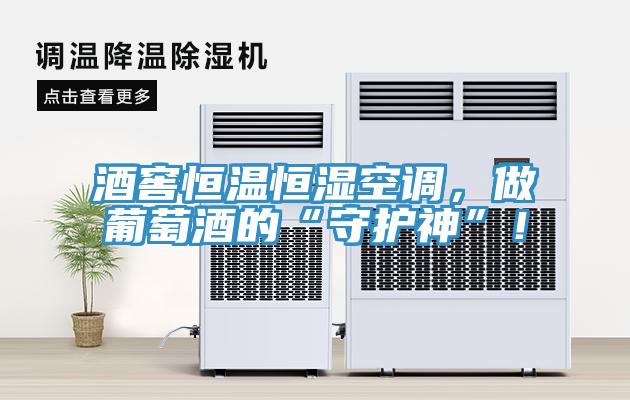 酒窖恒溫恒濕空調，做葡萄酒的“守護神”！