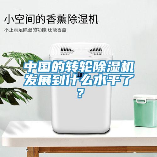 中國的轉(zhuǎn)輪除濕機(jī)發(fā)展到什么水平了？