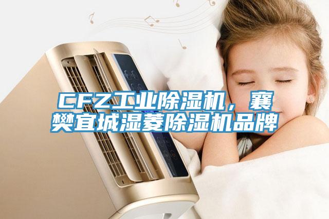 CFZ工業(yè)除濕機(jī)，襄樊宜城濕菱除濕機(jī)品牌
