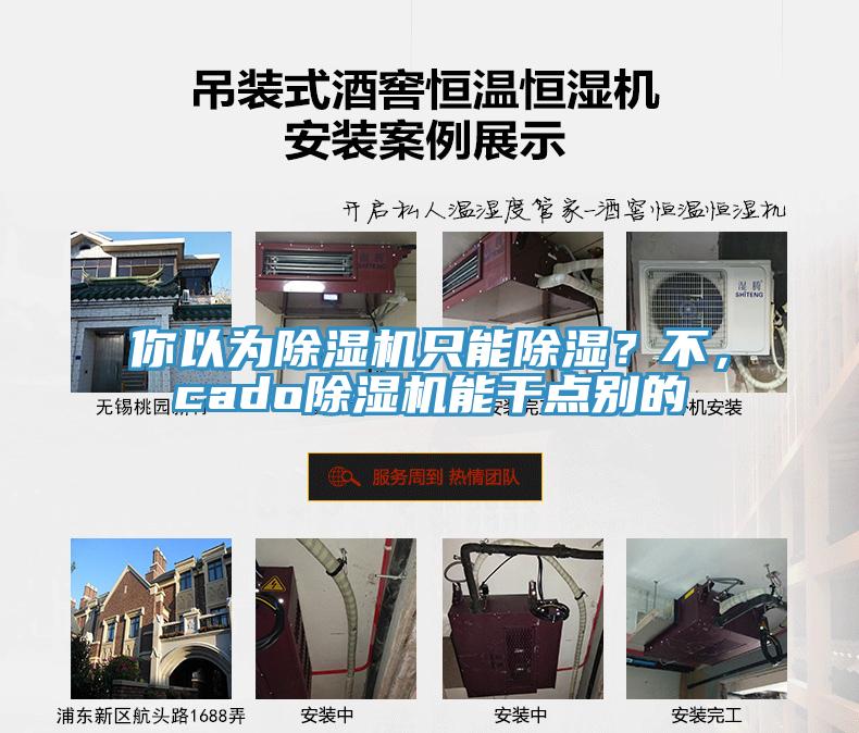 你以為除濕機只能除濕？不，cado除濕機能干點別的