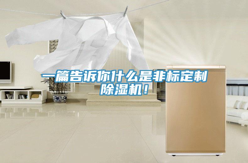 一篇告訴你什么是非標(biāo)定制除濕機(jī)！