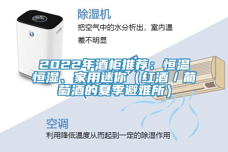 2022年酒柜推薦：恒溫恒濕、家用迷你（紅酒／葡萄酒的夏季避難所）