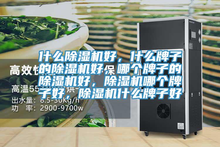 什么除濕機(jī)好，什么牌子的除濕機(jī)好，哪個(gè)牌子的除濕機(jī)好，除濕機(jī)哪個(gè)牌子好，除濕機(jī)什么牌子好
