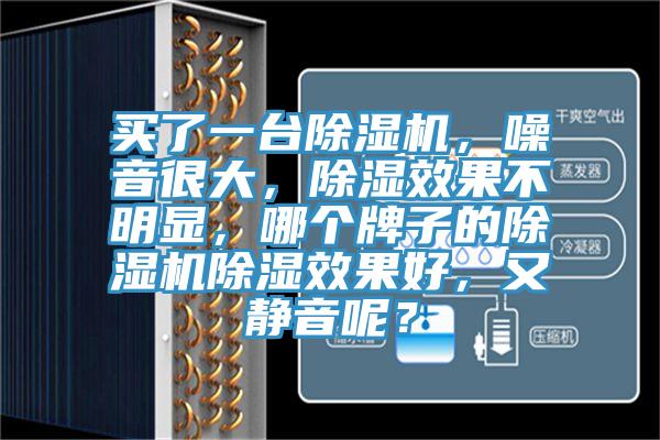 買了一臺除濕機，噪音很大，除濕效果不明顯，哪個牌子的除濕機除濕效果好，又靜音呢？