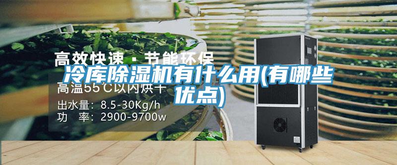 冷庫除濕機(jī)有什么用(有哪些優(yōu)點)