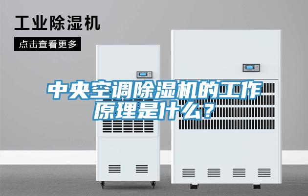 中央空調(diào)除濕機(jī)的工作原理是什么？