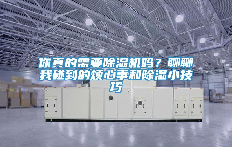 你真的需要除濕機嗎？聊聊我碰到的煩心事和除濕小技巧