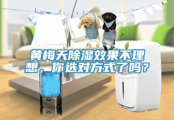 黃梅天除濕效果不理想，你選對(duì)方式了嗎？