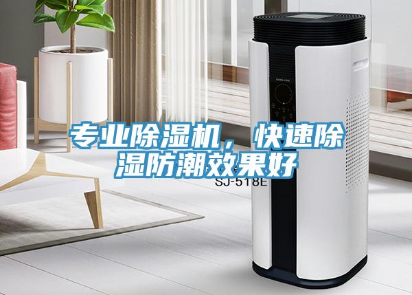 專業(yè)除濕機，快速除濕防潮效果好