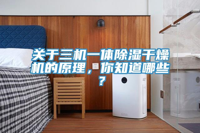 關(guān)于三機(jī)一體除濕干燥機(jī)的原理，你知道哪些？