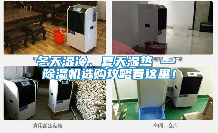 冬天濕冷、夏天濕熱 — 除濕機(jī)選購(gòu)攻略看這里！