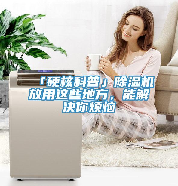 「硬核科普」除濕機放用這些地方，能解決你煩惱