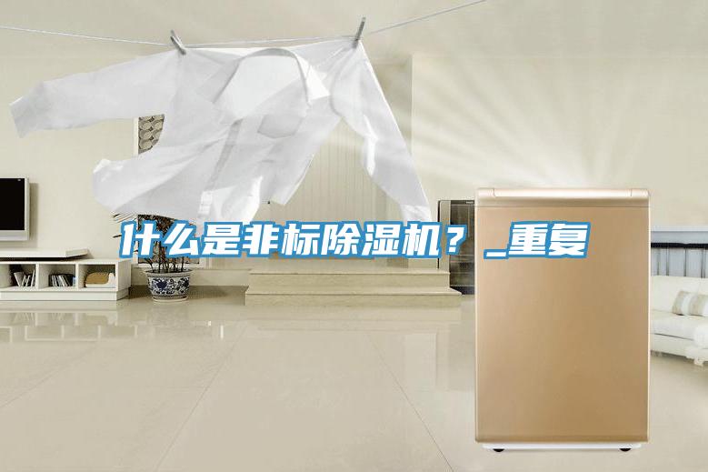 什么是非標除濕機？_重復