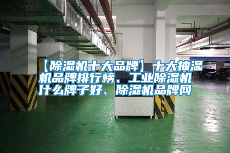 【除濕機(jī)十大品牌】十大抽濕機(jī)品牌排行榜、工業(yè)除濕機(jī)什么牌子好、除濕機(jī)品牌網(wǎng)