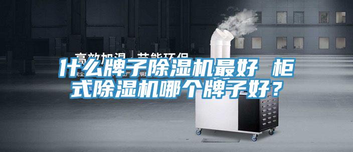 什么牌子除濕機(jī)最好 柜式除濕機(jī)哪個(gè)牌子好？