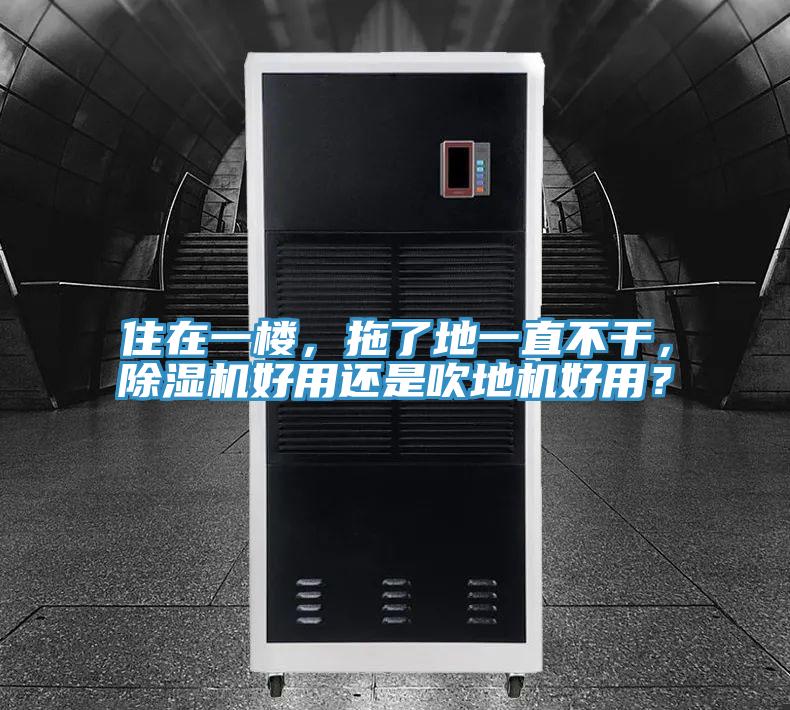 住在一樓，拖了地一直不干，除濕機好用還是吹地機好用？
