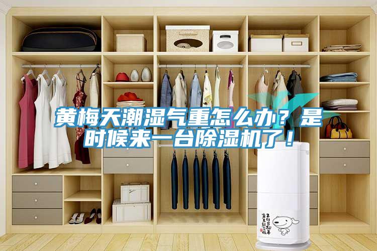 黃梅天潮濕氣重怎么辦？是時(shí)候來一臺(tái)除濕機(jī)了！