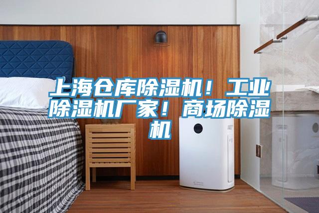 上海倉庫除濕機！工業(yè)除濕機廠家！商場除濕機