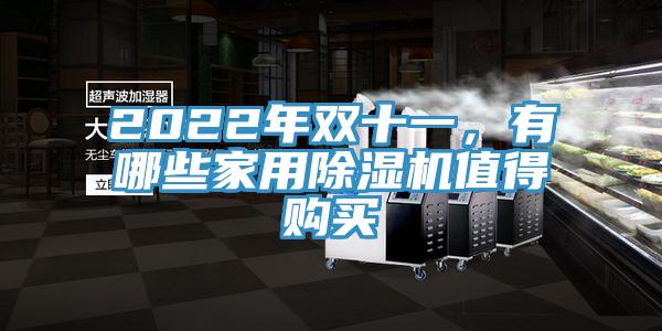 2022年雙十一，有哪些家用除濕機(jī)值得購買