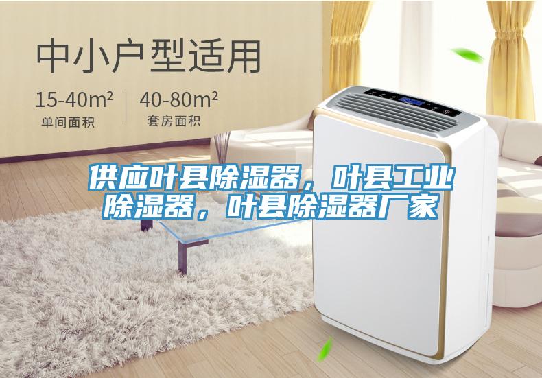 供應(yīng)葉縣除濕器，葉縣工業(yè)除濕器，葉縣除濕器廠家