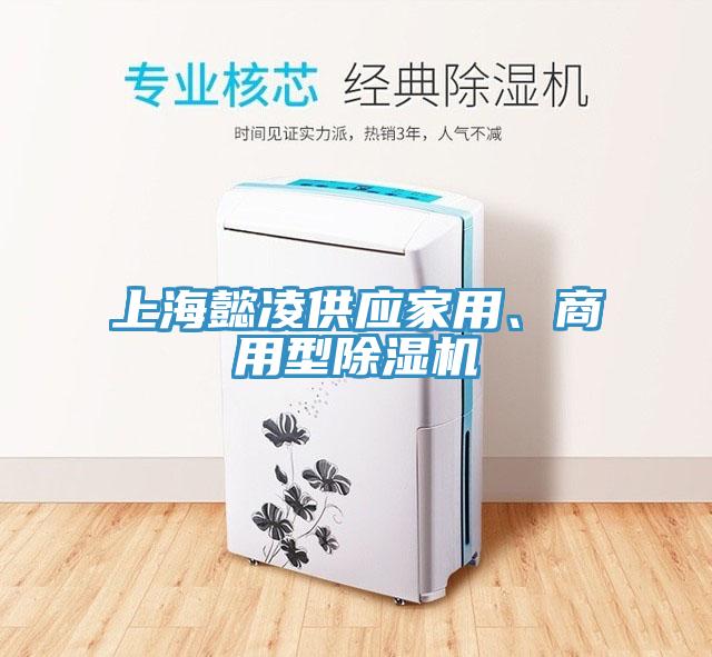 上海懿凌供應(yīng)家用、商用型除濕機