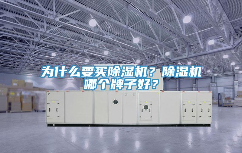 為什么要買除濕機？除濕機哪個牌子好？