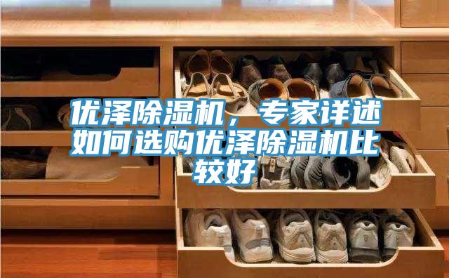優(yōu)澤除濕機(jī)，專家詳述如何選購優(yōu)澤除濕機(jī)比較好