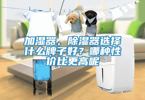 加濕器，除濕器選擇什么牌子好？哪種性價(jià)比更高呢
